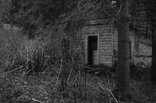 Small derelict house in a wooded area