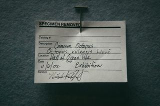 Note card titled “Specimen Removed” pinned to wall