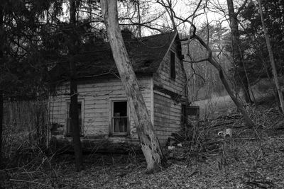 Small derelict house in a wooded area