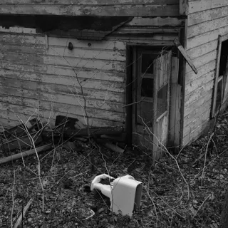 Detail view of small derelict house in a wooded area