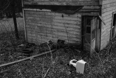 Detail view of small derelict house in a wooded area