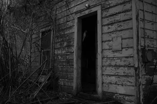 Small derelict house in a wooded area