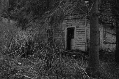 Detail view of small derelict house in a wooded area