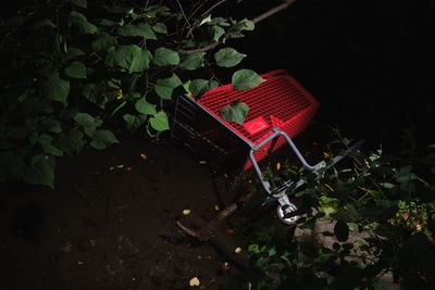 A red shopping cart on its side in a wooded stream